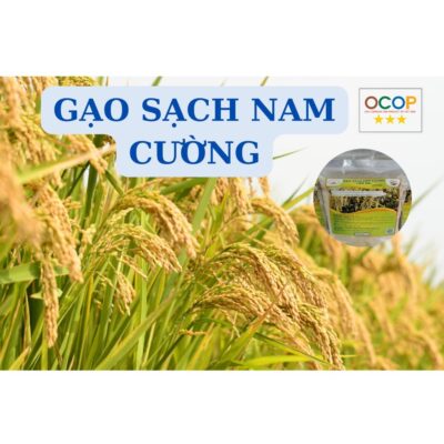 Gạo sạch Nam Cường