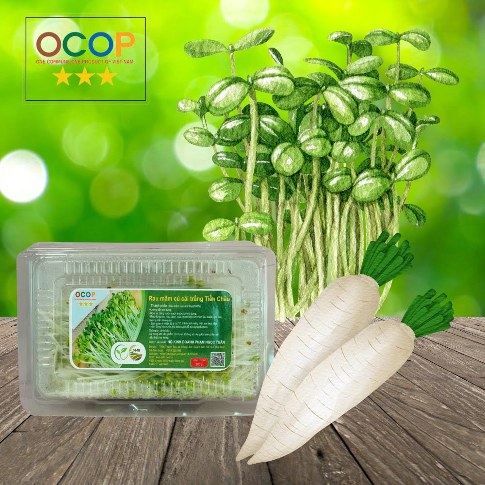 Rau mầm củ cải trắng Tiền Châu hộp 200G