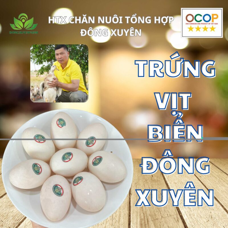 Trứng vịt biển Đông Xuyên ( Hộp 10 quả )