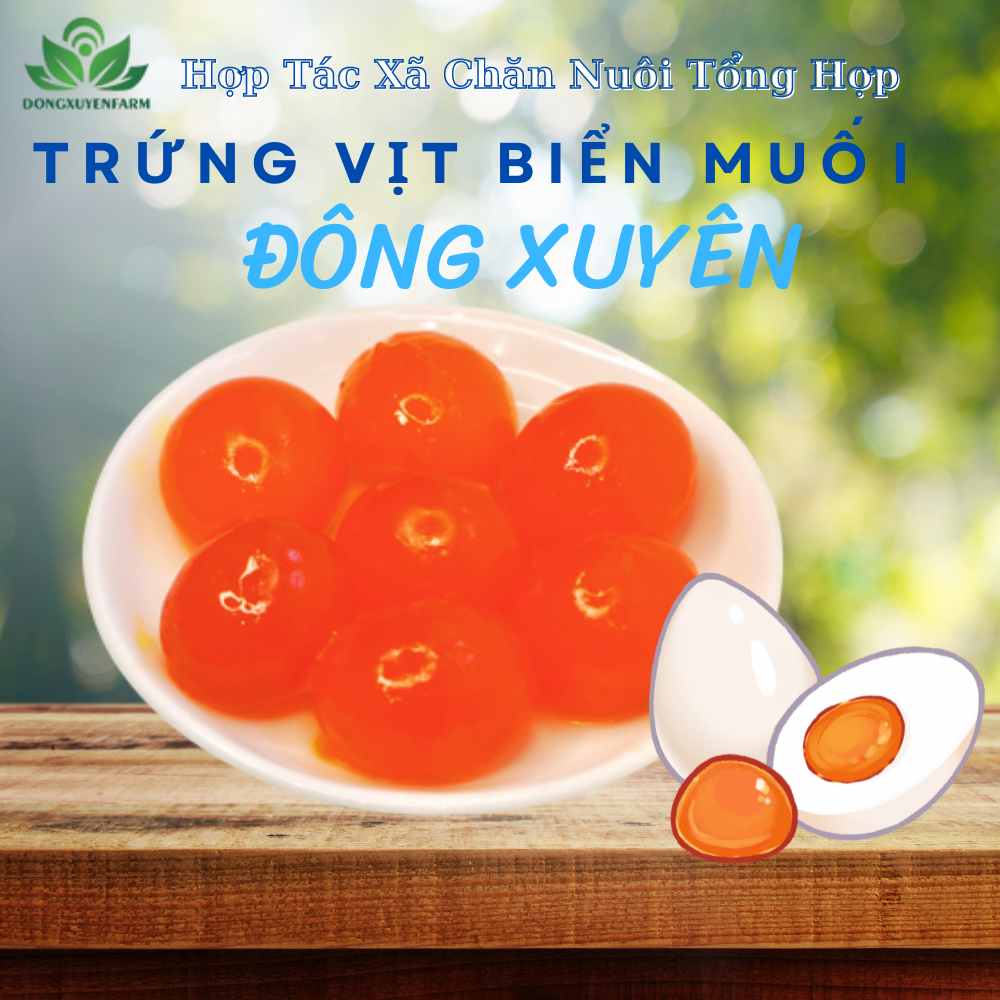 Trứng Vịt Biển Muối Đông Xuyên ( hộp 10 Quả )